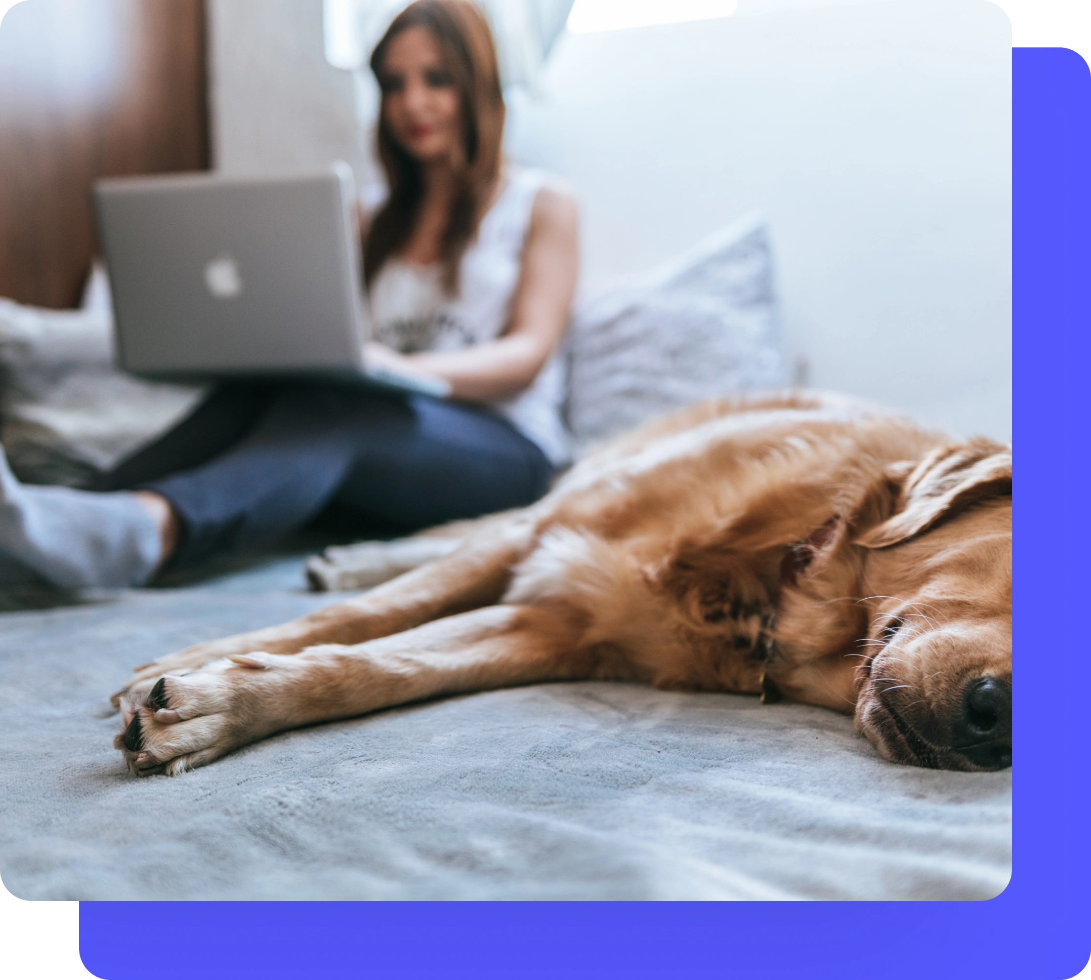 pofft Uzmanı Ol - pofft avantajları